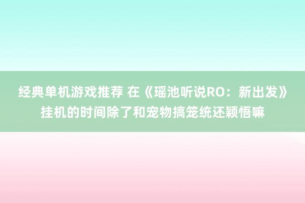 经典单机游戏推荐 在《瑶池听说RO：新出发》挂机的时间除了和宠物搞笼统还颖悟嘛